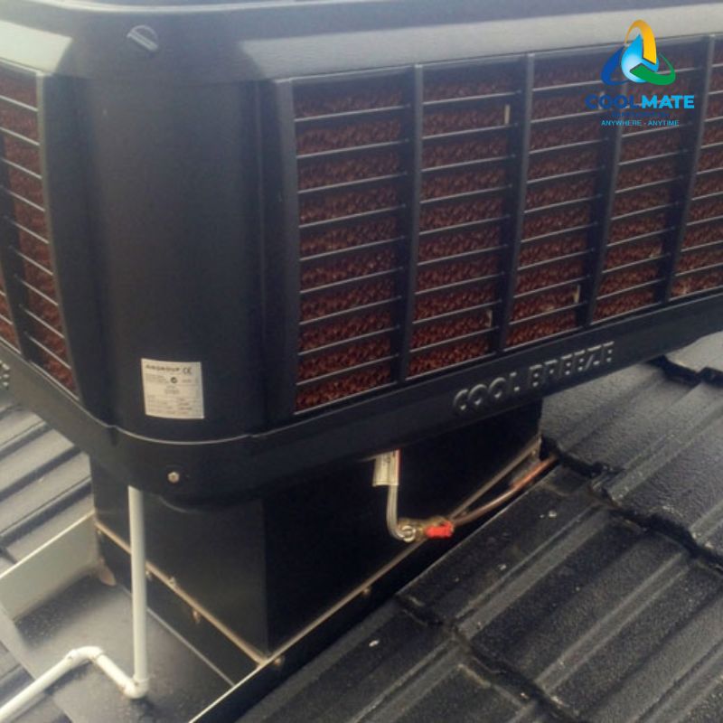Ứng dụng thực tế của máy làm CoolBreeze Heritage D125