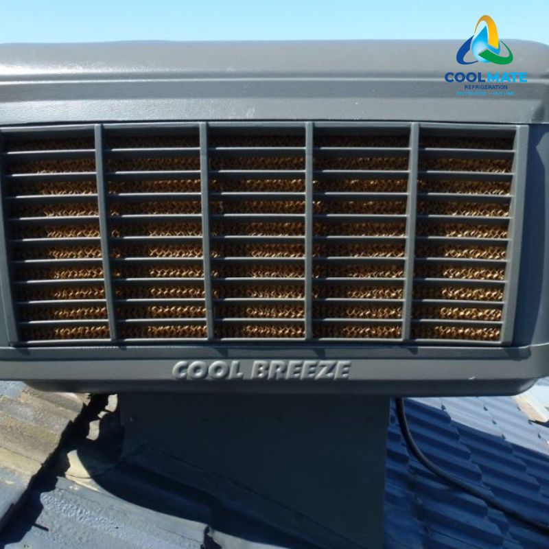 Ứng dụng thực tế của máy làm CoolBreeze Heritage D160