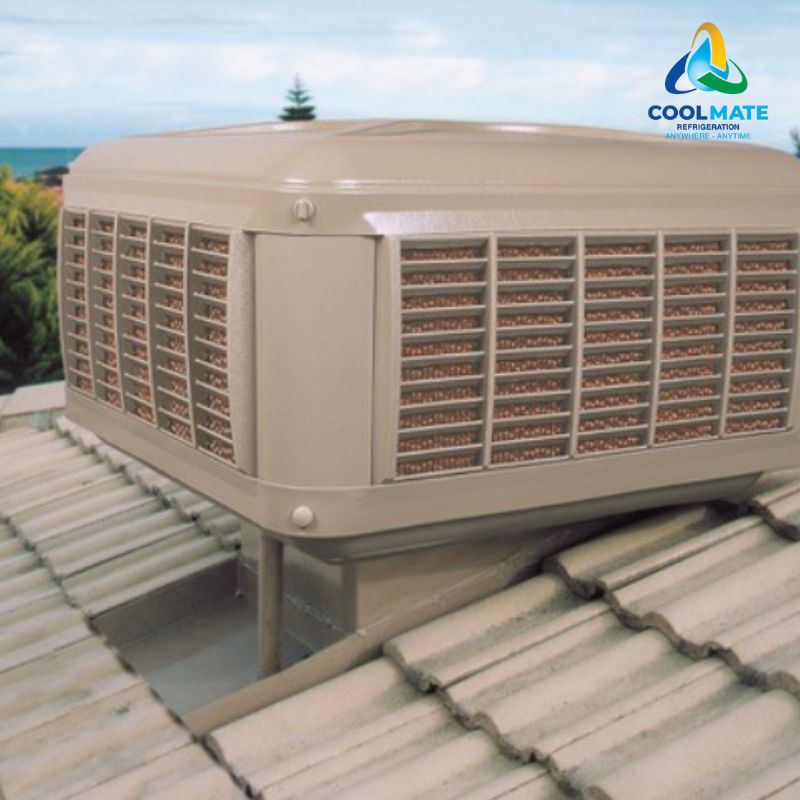 Ưu điểm nổi bật của CoolBreeze Heritage D195