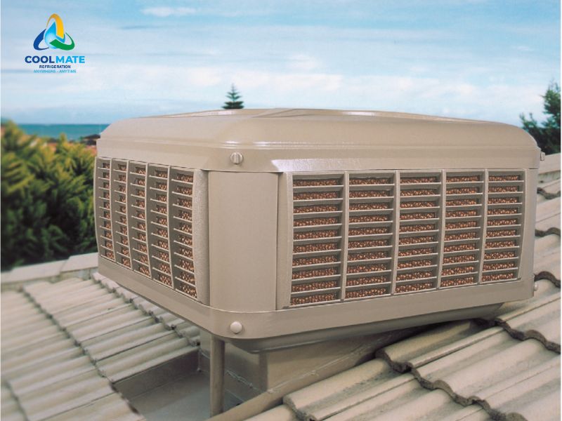 Hiệu suất hoạt động thực tế trong nhà xưởng