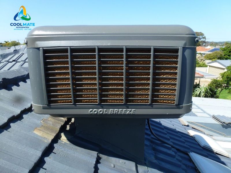 Coolmate Refrigeration chuyên cung cấp - lắp đặt máy làm mát công nghiệp Cool Breeze