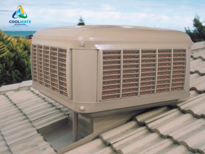 CoolBreeze Heritage D095