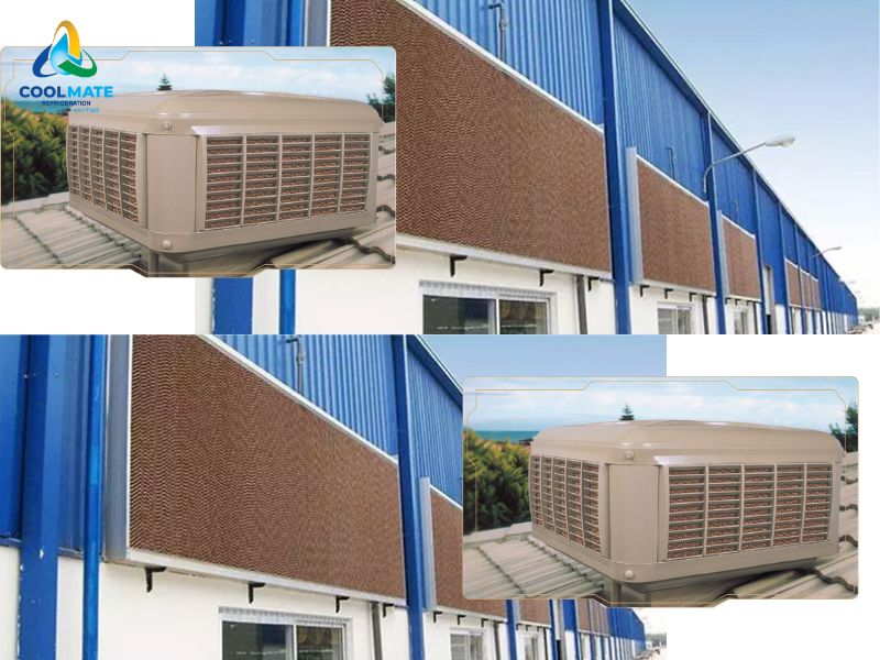 Tấm làm mát cooling pad dùng trong nhà xưởng