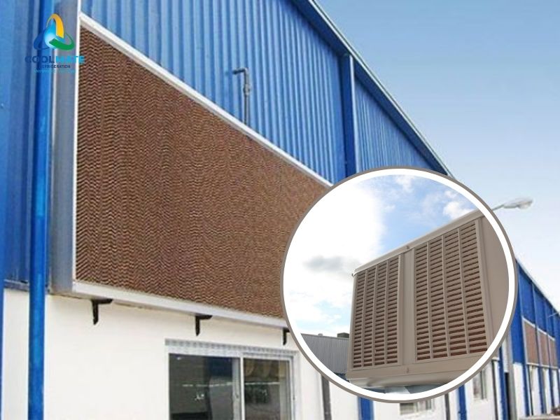 Những lợi ích của việc lắp đặt hệ thống máy làm mát bằng Cooling Pad