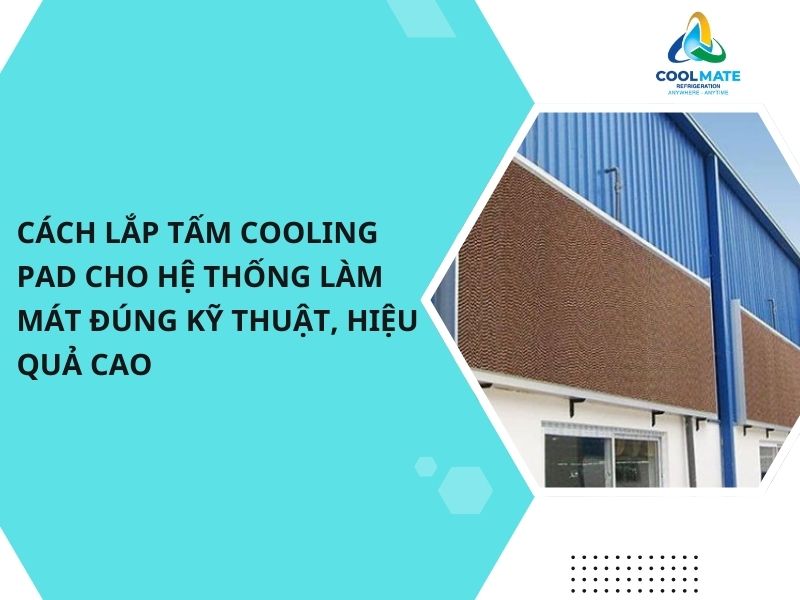 Cách Lắp Tấm Cooling Pad Cho Hệ Thống Làm Mát Đúng Kỹ Thuật, Hiệu Quả Cao