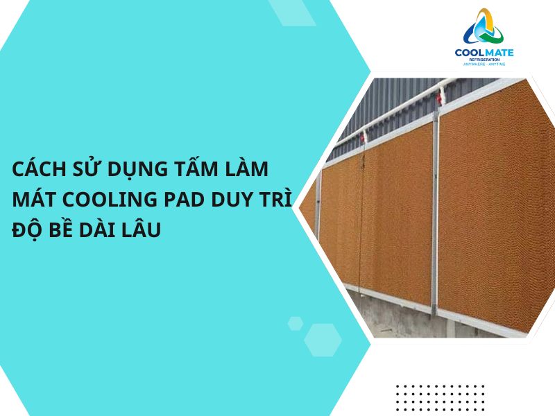 Cách Sử Dụng Tấm Làm Mát Cooling Pad Duy Trì Độ Bề Dài Lâu