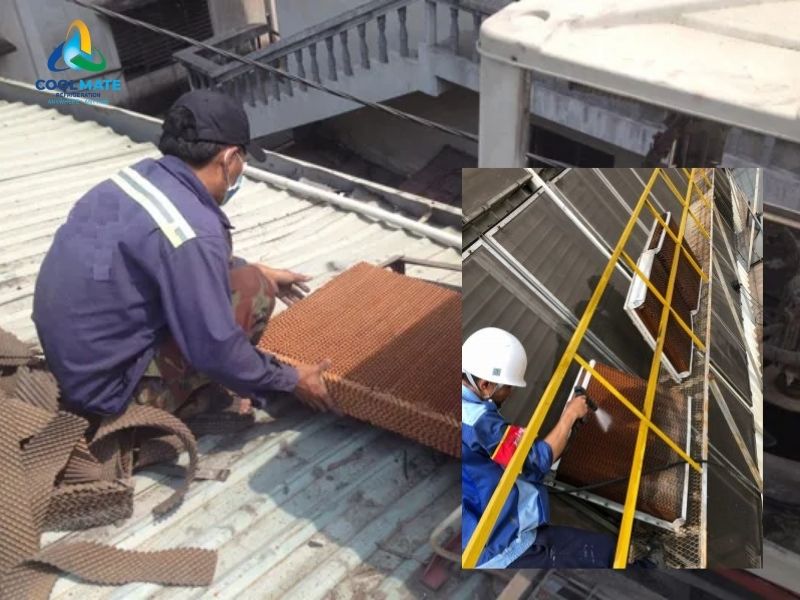 Hướng dẫn chi tiết vệ sinh tấm Cooling Pad đúng kỹ thuật