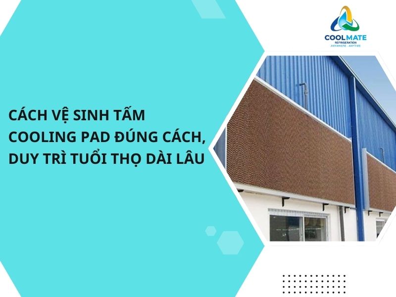 Cách Vệ Sinh Tấm Cooling Pad Đúng Cách, Duy Trì Tuổi Thọ Dài Lâu