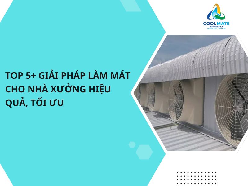 Top 5+ Giải Pháp Làm Mát Cho Nhà Xưởng Hiệu Quả, Tối Ưu