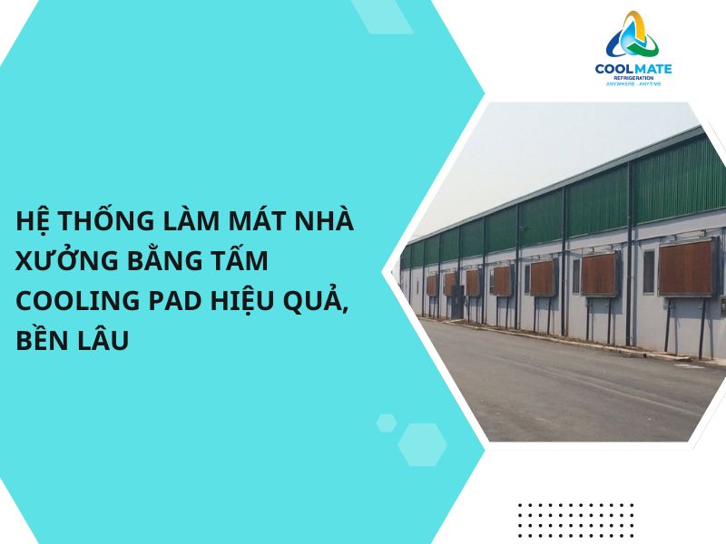 Hệ Thống Làm Mát Nhà Xưởng Bằng Tấm Cooling Pad Hiệu Quả, Bền Lâu
