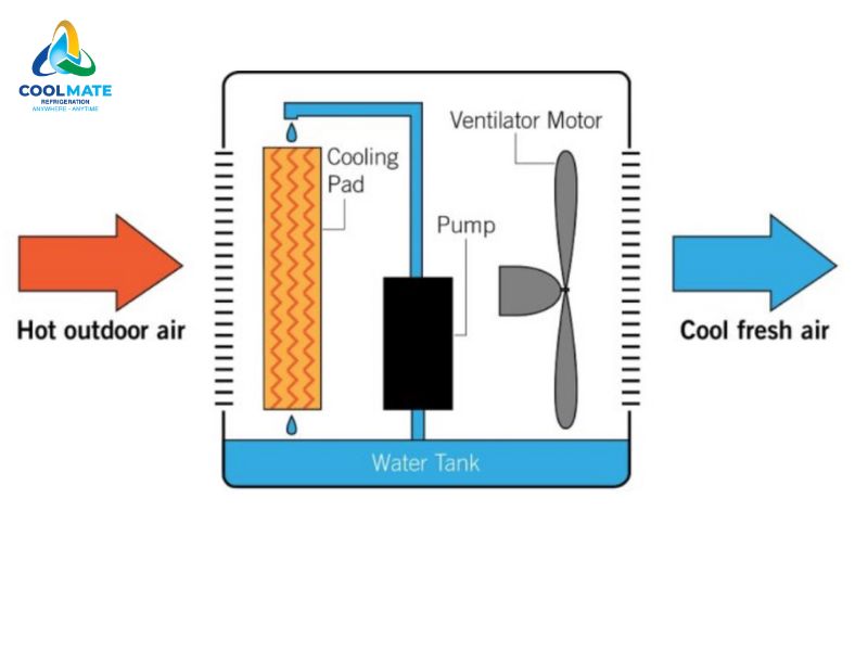 Hệ thống làm mát bằng Cooling Pad hoạt động như thế nào?
