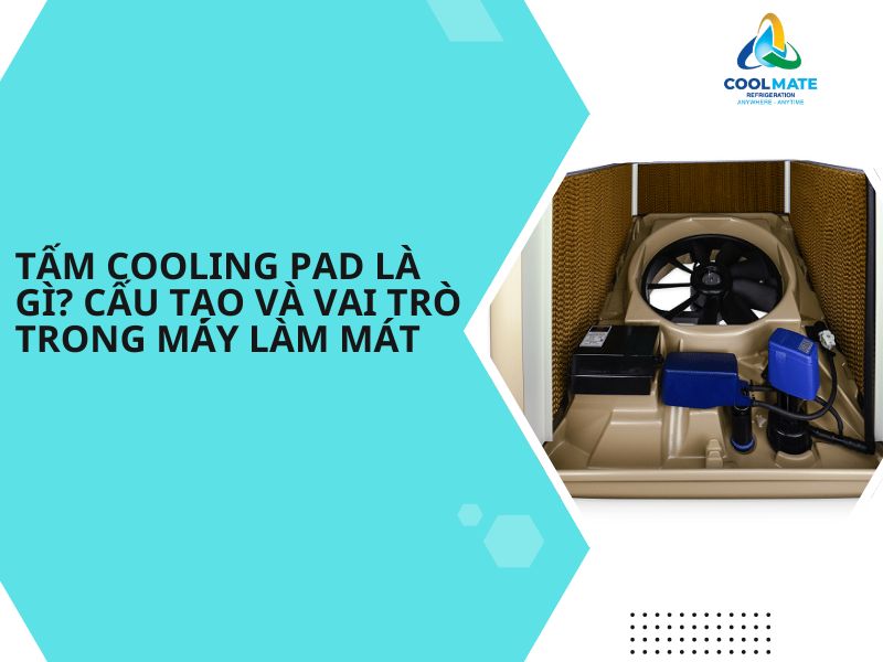 Tấm Cooling Pad Là Gì? Cấu Tạo Và Vai Trò Trong Máy Làm Mát