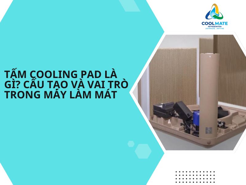 Tìm Hiểu Ứng Dụng Của Tấm Cooling Pad Trong Máy Làm Mát